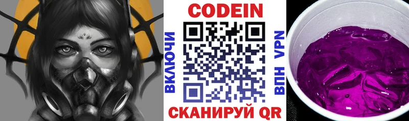 Купить закладки  Петровск-Забайкальский  Codein напиток Lean (лин) 