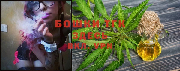 хмурый Балабаново