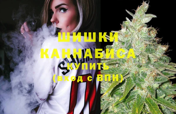 стаф Белоозёрский