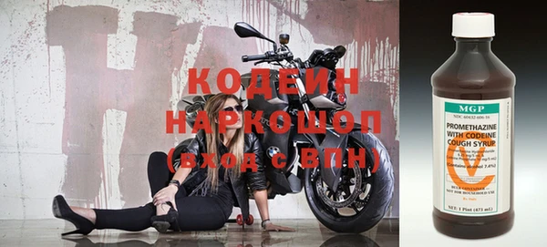 индика Богданович