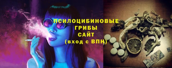 трава Богородицк