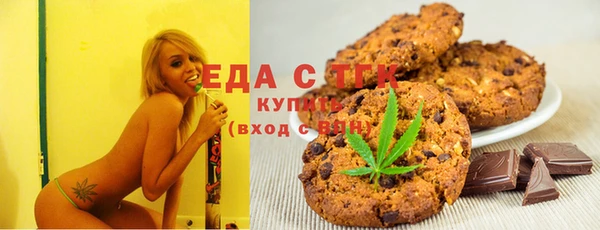 индика Богданович