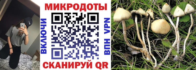 Купить где  Петровск-Забайкальский  Галлюциногенные грибы мухоморы 